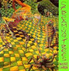 Screaming Trees : Invisible Lantern
